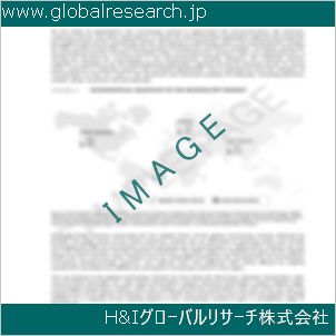 グローバルリサーチ調査資料のイメージ